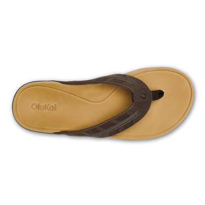 Tuahine Palm - Dk Java / Golden Sand