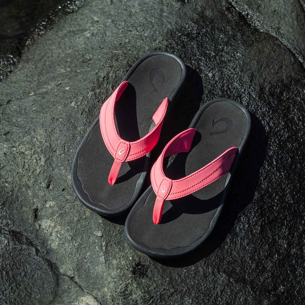 ‘Ohana - Hot Pink / Black