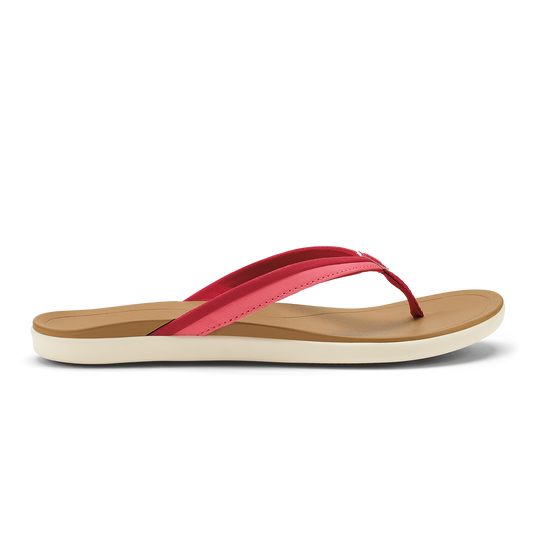 Ho'opio Malua - Mystic Berry / Hot Pink