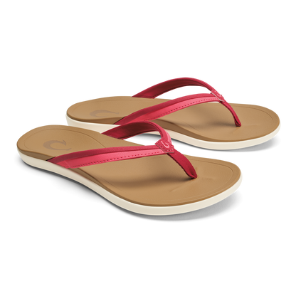 Ho'opio Malua - Mystic Berry / Hot Pink