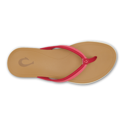 Ho'opio Malua - Mystic Berry / Hot Pink